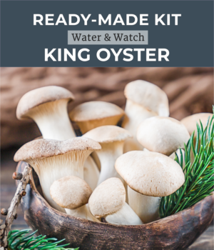 Ready made mushroom kit